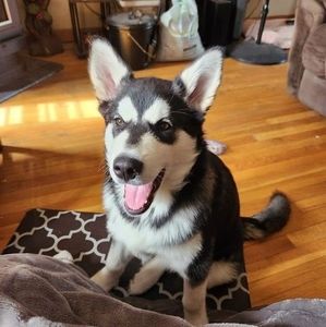 Meet your Posher, Lisa